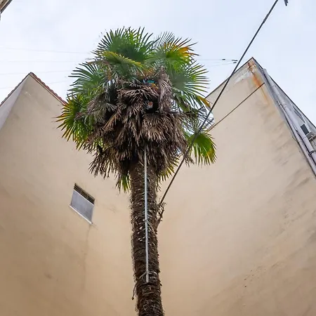 Διαμέρισμα Casa Pino - Duplex In Town